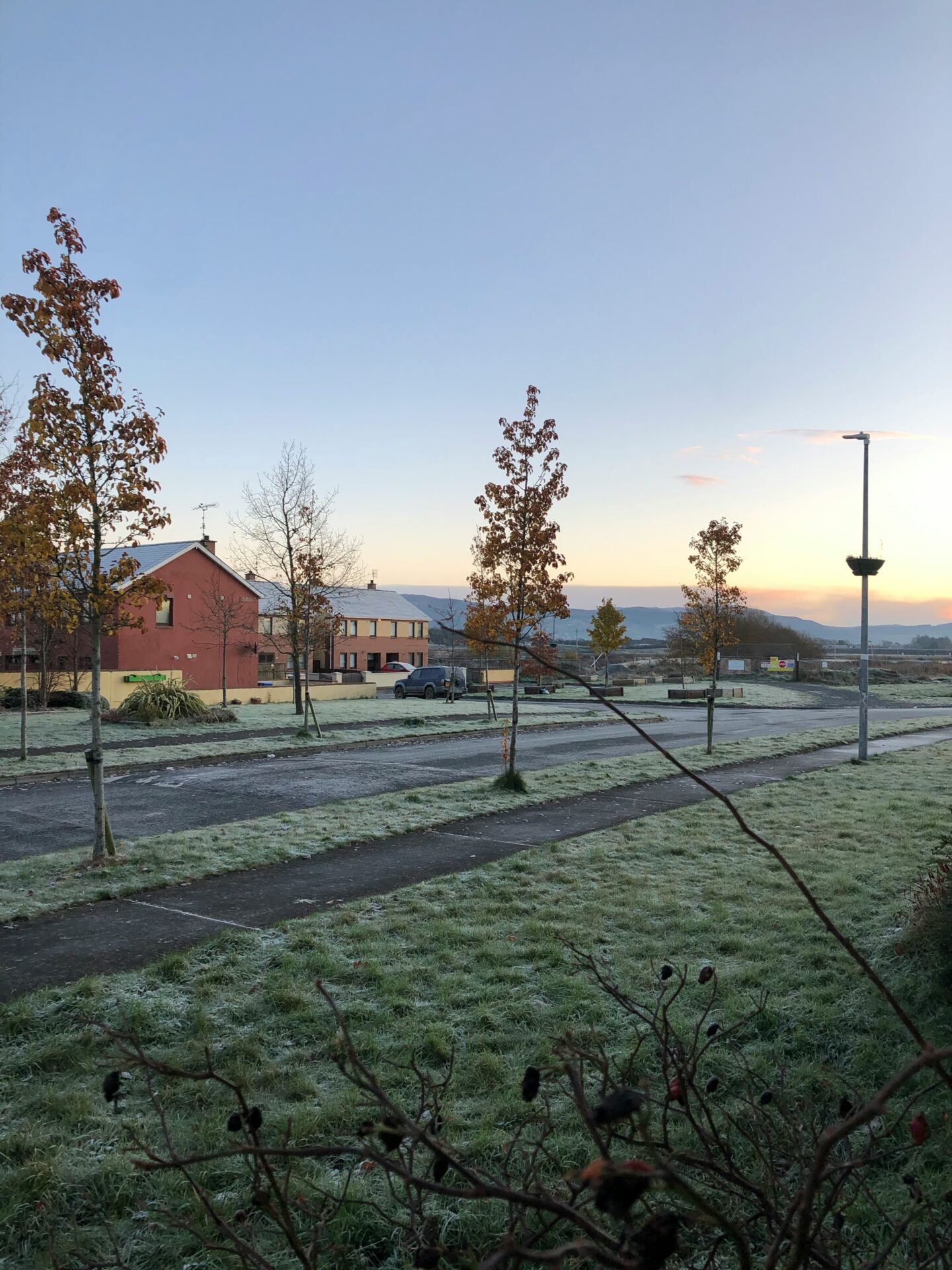 A frosty morning scene with dew laid on the grass and assorted trees and buildings
